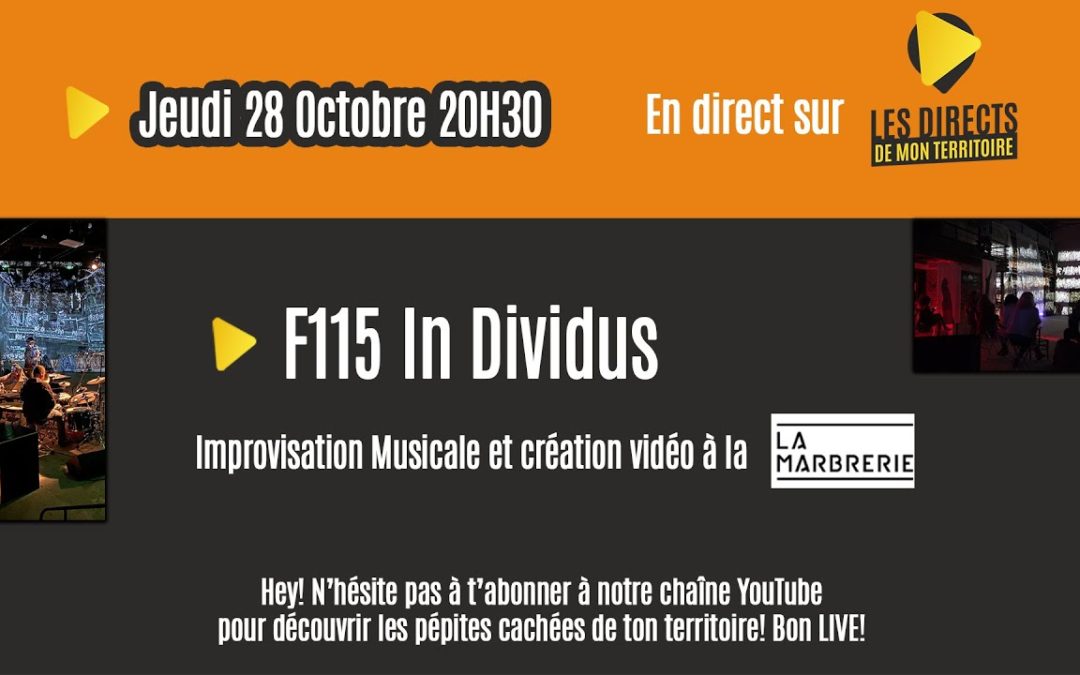 F115 In Dividus. Performance video et musique live dans l’espace naturel ou urbain
